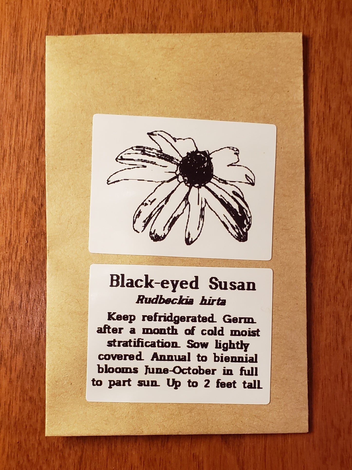 Black-Eyed Susan | Native Wildflower Seeds