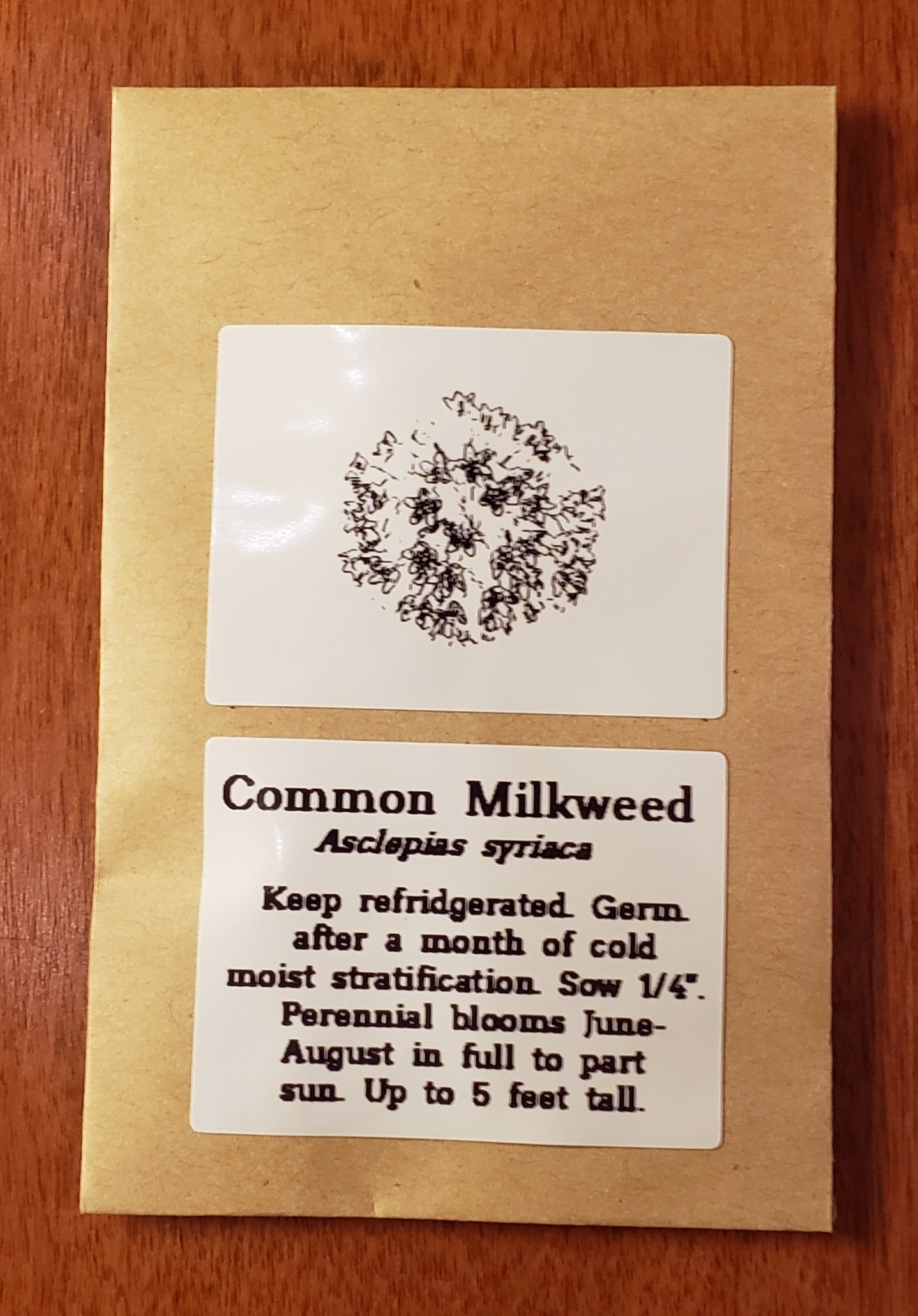 Common Milkweed | Native Wildflower Seeds