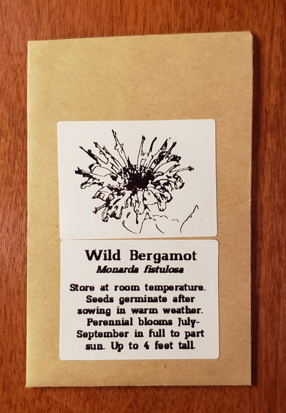 Wild Bergamot | Bee Balm | Native Wildflower Seeds