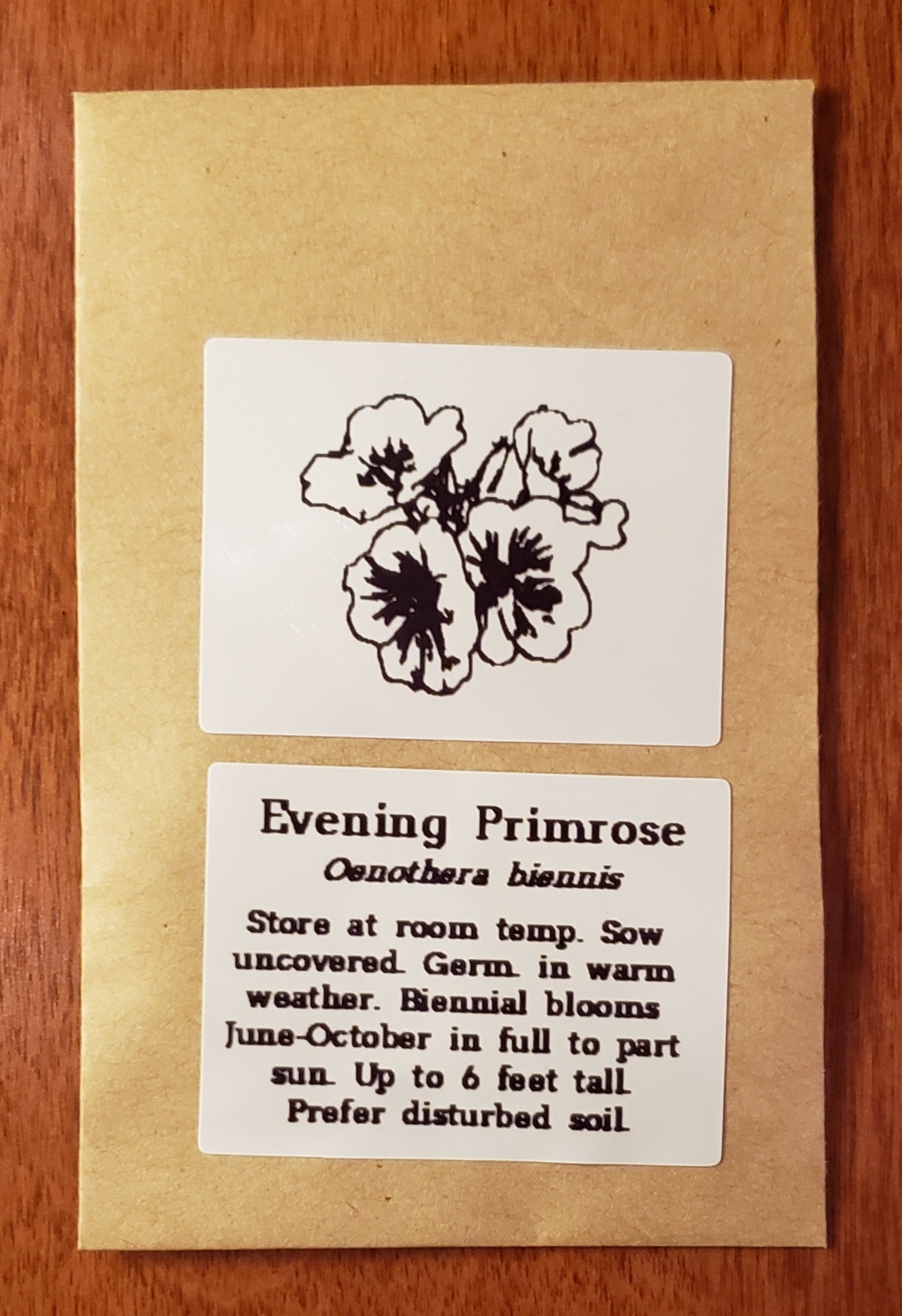 Evening Primrose | Native Wildflower Seeds