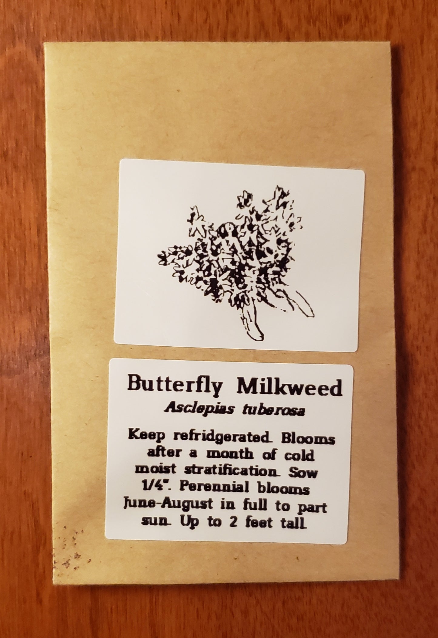 Butterfly Milkweed | Native Wildflower Seeds