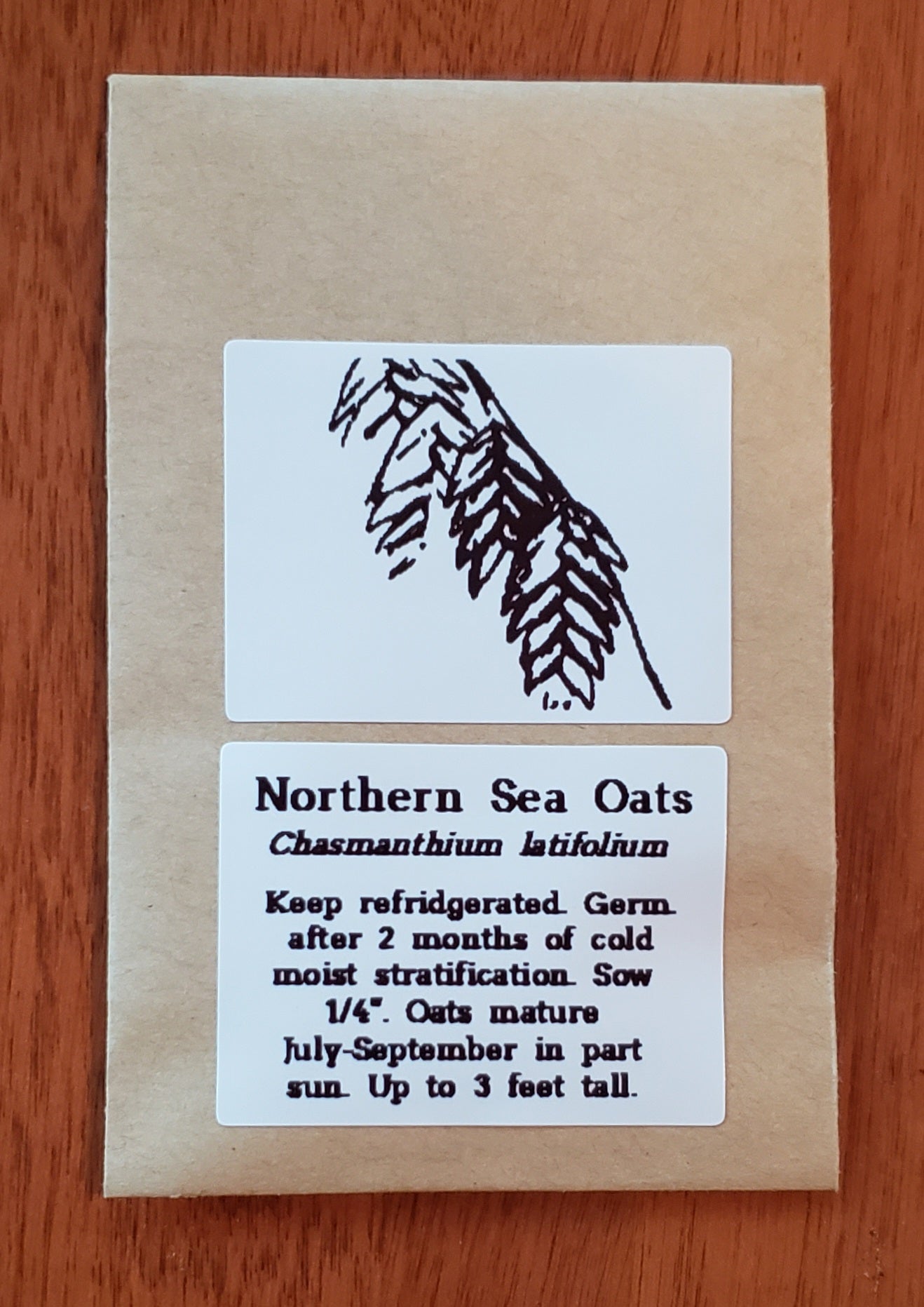 Northern Sea Oats | Inland Wood Oats | Native Grass Seeds