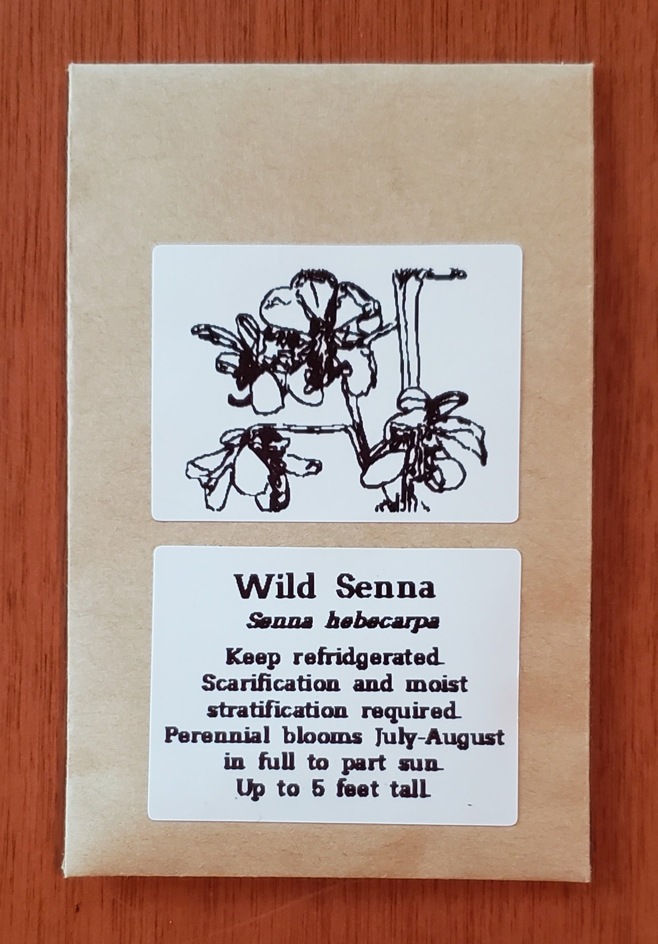 Wild Senna | Native Wildflower Seeds