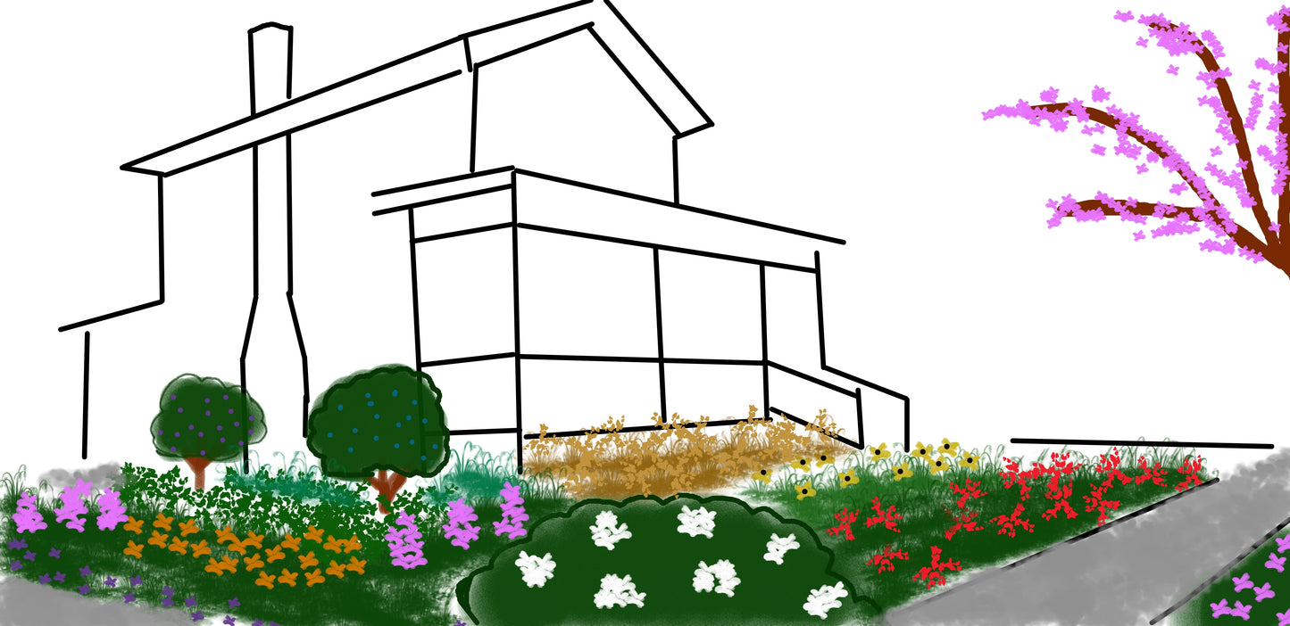 Native Landscape Design Consultation