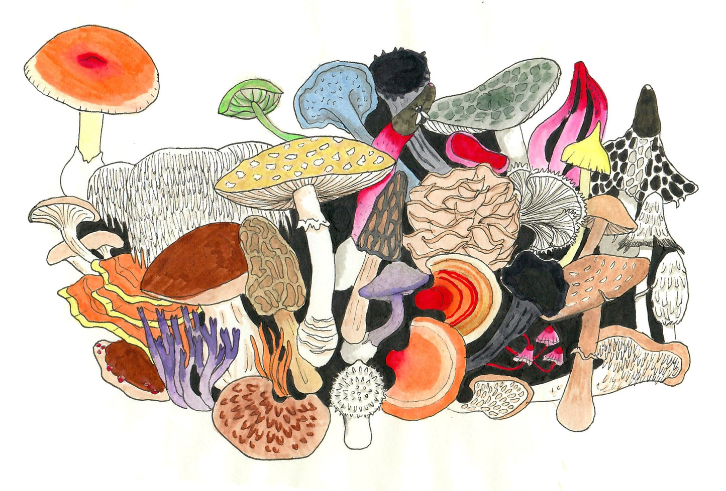 Collage | Ohio Fungi | 10.25" x 7" Original Work | Sarah Culliton