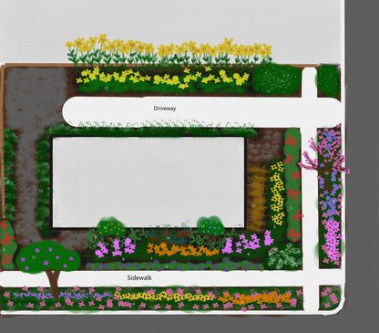 Native Landscape Design Consultation